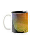 Rainbow Petal Dreams Mug