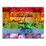 Rainbow Photo Collage Postcards