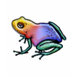 Rainbow Poison Dart Frog t-shirts