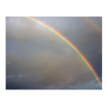 Rainbow Post Cards