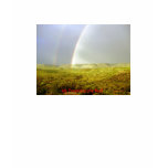 rainbow real 1 t-shirts
