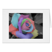 Rainbow Rose Notecard.