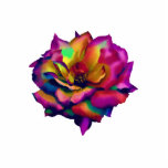 Rainbow Rose Pin photo sculptures