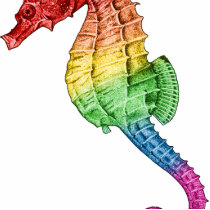 Rainbow Seahorse