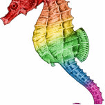 Rainbow Seahorse photo sculptures