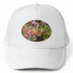 Rainbow Shower Tree Hat