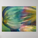 Rainbow Sunflower Seed 3 Poster Painting Print