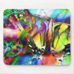 Rainbow Swallowtail