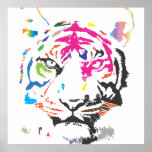 Rainbow Tiger Posters