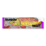 rainbow trout bumper stickers