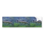 Rainbow Trout bumper stickers