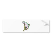 RAINBOW TROUT BUMPER STICKERS