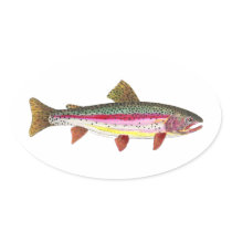 Rainbow Trout Fish Stickers