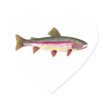Rainbow Trout Fish Heart Stickers