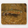 Rainbow Trout Mousepad