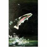 Rainbow Trout photo sculptures
