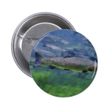 Rainbow Trout Pinback Button
