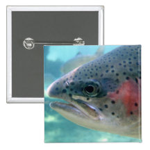 Rainbow Trout Pinback Buttons