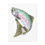 RAINBOW TROUT POST CARD