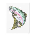 RAINBOW TROUT postcards