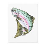 RAINBOW TROUT postcards