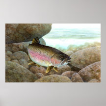 Rainbow Trout Print