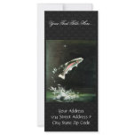 Rainbow Trout rack cards