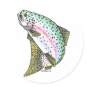 RAINBOW TROUT stickers
