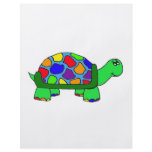 Rainbow Turtle flyers