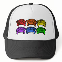 Rainbow Turtles