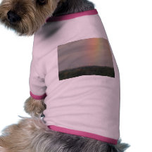 Rainbow & Windmills Dog T Shirt