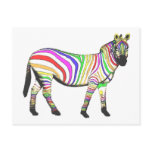 Rainbow Zebra postcards