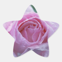 Raindrops are pearls of joy star sticker