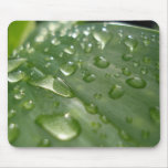 raindrops on a leaf mousepads