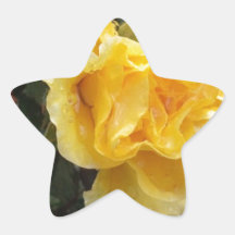 Raindrops on Roses - Yellow Rose Stickers
