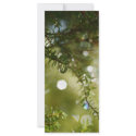 Raindrops rack cards