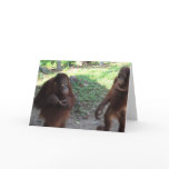 Rainforest Animal Friends Greeting Card