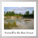 Rainforest Conservation  poster posters