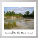 Rainforest Conservation  poster posters