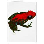 Rainforest Dart Frog Greeting Card