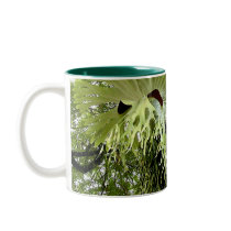RAINFOREST MAGIC Series Mug