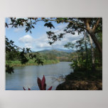 Rainforest of Costa Rica posters