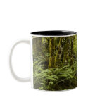 Rainforest Path Coffee Mugs