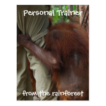 Rainforest Personal Trainer Postcard