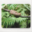 Rainforest Snake Wrap - mousepad