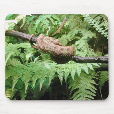 Rainforest Snake Wrap - mousepad by Horseshoes3