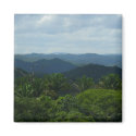 rainforest view magnets