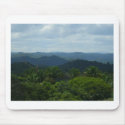rainforest view mousepads