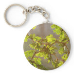 Raintree Branches Bonsai Photo Key Chains