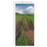 Rainy day at the pasture rack card
